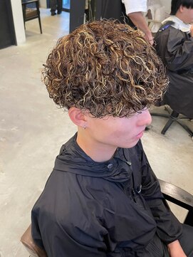 シリー(SILLY) ブラウンハイライト/プードルパーマ