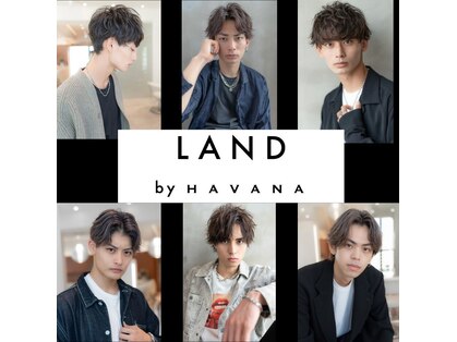 ランドバイハバナ 浅草(LAND by HAVANA)の写真