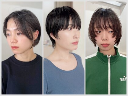 シグサ(SHIGUSA)の写真