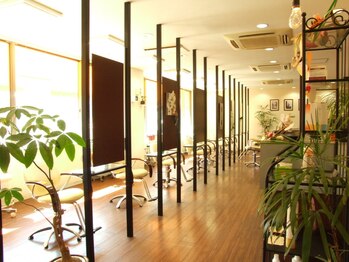 Ｔｌｉｃｏ　Ｈａｉｒ　トリコヘアー