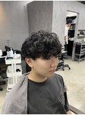プードルパーマ