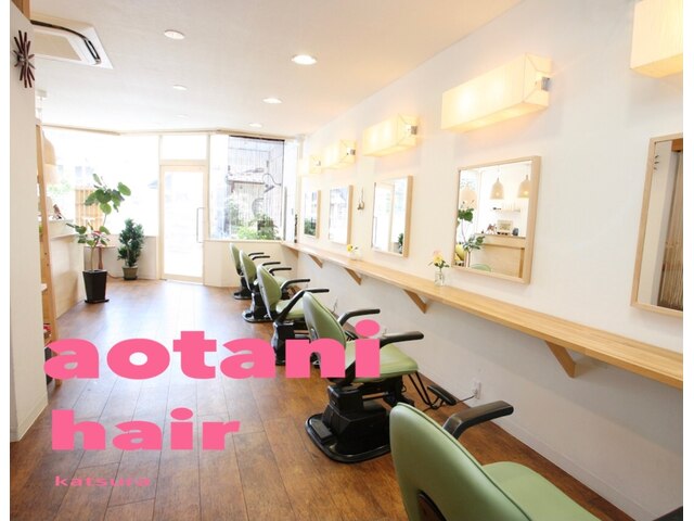 アオタニヘアー 桂店(aotani hair)