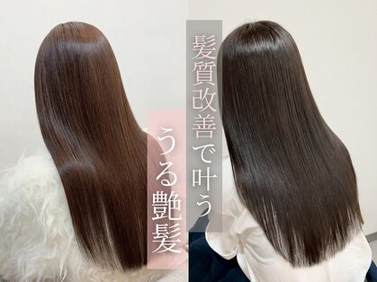ヌードルバイコア(noodle by CoRe.gn)の写真