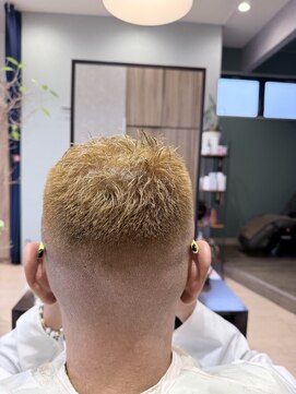 シルバ(SILVA) men'sショート