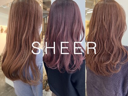 シア 綾瀬店(SHEER)の写真