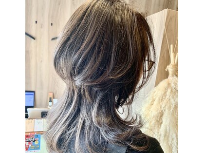 タルテ(talute)の写真