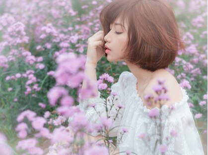 アロイジア Aloysiaの写真