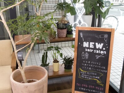 たくさん植物がある店内☆心地よい空間でお待ちしてます♪