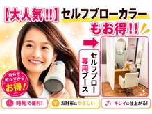 デューポイント 大桑店(DEW POINT)の雰囲気(セルフブローカラーもご利用ください〔白髪染め/髪質改善〕)
