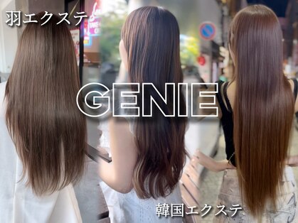 エクステンションジーニー(extension GENIE)の写真