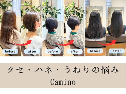 カミーノ 新越谷店(Camino)の写真