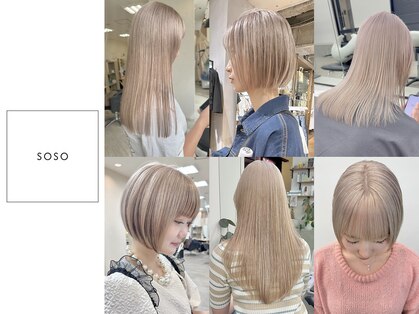 ソソ(soso)の写真