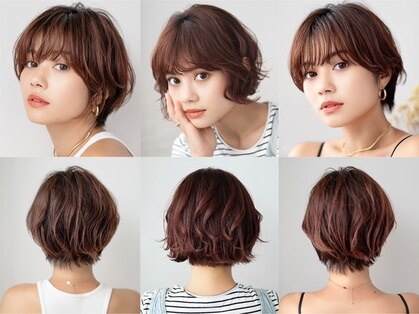 ハコ(HACO)の写真