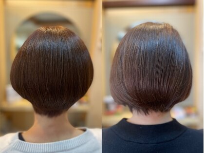 アンズヘアーの写真