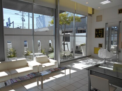 ヘアードゥの写真