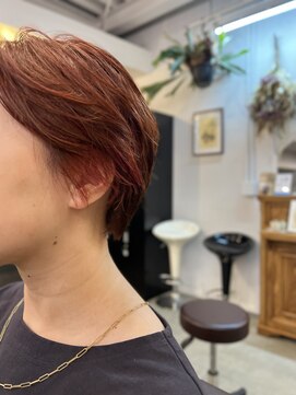 アイノベル(‘Inovel’) イヤリングカラー/裾カラー