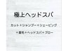 【限定おすすめNo.1】極上ヘッドスパコース