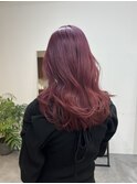 ピンクラベンダー