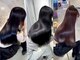 ユアーズヘア 池袋(youres hair)の写真/【髪質改善】話題の髪質改善トリートメントで史上最高の艶髪へ…*常にキレイな髪でいたい方におすすめ♪