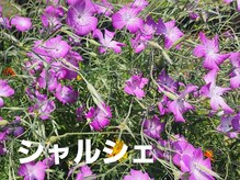 シャルシェ(Chercher)