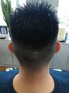 エルム ショートヘアー