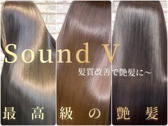sound V【サウンド ブイ】