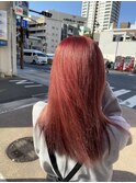 カシスレッド☆