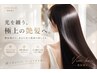【人気】艶髪縮毛矯正+カット+ベーシックトリートメント/21000→16500