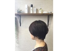 ステラルーチェ(STELLALUCE)