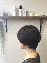 ステラルーチェ(STELLALUCE)