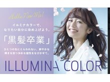 スターガーデン(STAR GARDEN)