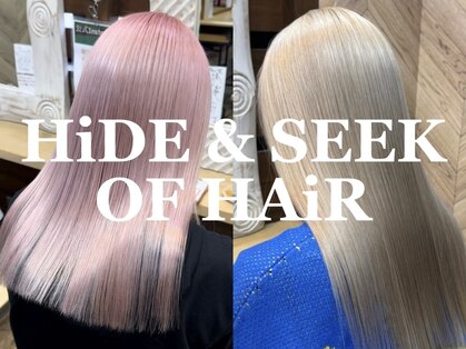 ハイドゥンシーク(HiDE&SEEK)の写真