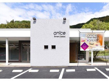 アニス(anice)の写真