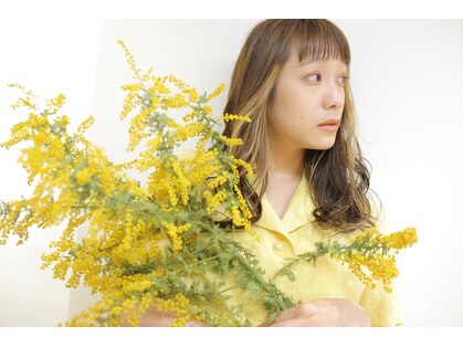 オブ センス(Of Sense)の写真