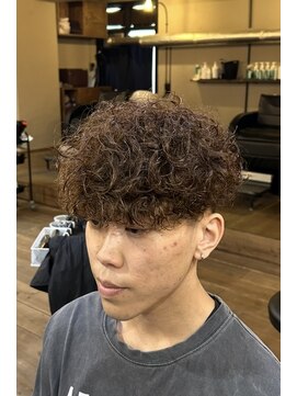 ミオ ベガ(Mio'' VEGA) ダブルプードルパーマ