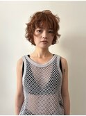 nir.2026/ss