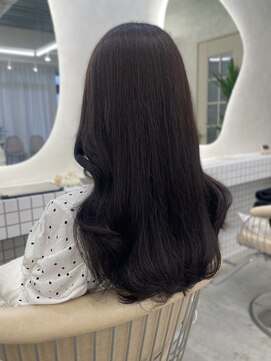 ザシー チェルシー 橋本(The C CHELSEA) 上品なブラウンカラー/TheC CHELSEA 橋本