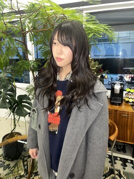 アペット(Appet) HIGH  LAYER