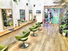 ヘイズ ヘアアンドメイク(HAYS HAIR&MAKE)の雰囲気（緑溢れる店内で癒しの時間を♪）