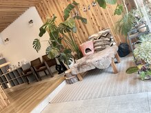 ユーランド(U land)の雰囲気（green green）