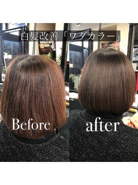 バグジー 黒崎(BAGZY) 白髪改善「ワダカラー」