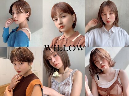 ウィロー(WILLOW)の写真