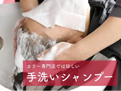 カラープラス 金沢店の写真