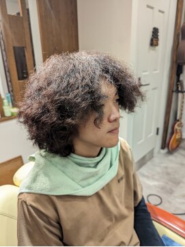 ヴィシュヌヘアー Visnu Hair メンズミディアムスパイラル
