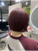 チェリーピンク　丸みボブディ