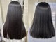 ヘアパラダイス テディベア(hair paradise TEDDY BEAR)の写真