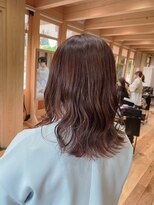 ジェロ(GELo)&nbsp;ミディアム