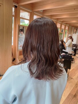 ジェロ(GELo) ミディアム