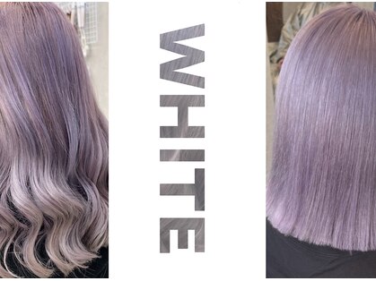 ホワイト(WHITE)の写真