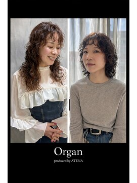 オルガン(Organ) ウェーブスタイル、ゆるふわウェーブ、デジタルパーマ、